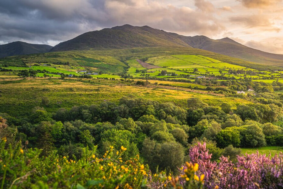 Digital Access: Irish Summer