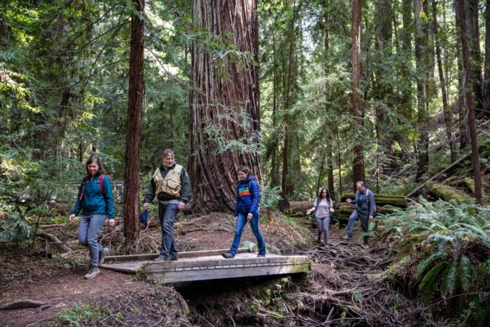 Rocky Ridge expands stunning Mendocino redwood park | Save the ...